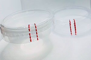 termoencolhiveis 002.jpg